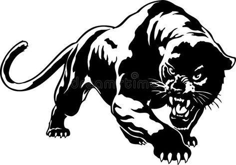 Illustration about A vector illustration of a wild panther. Illustration of mammals, animal, cougar - 133047399 Panther Illustration, Black Panther Svg, Wild Panther, Panther Svg, Tiger Tattoo Design, Black Panther Party, Combat Art, Black Panther, Cute Tattoos