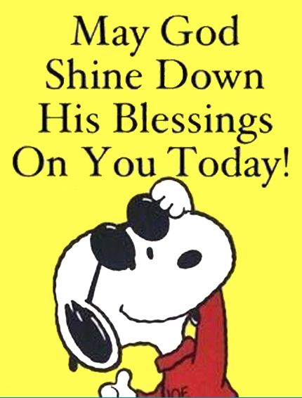 Peanuts Quotes, Happy Week End, Snoopy Quotes, Snoopy Pictures, Snoopy Love, Charlie Brown Peanuts, Charlie Brown And Snoopy, Peanuts Gang, Snoopy And Woodstock