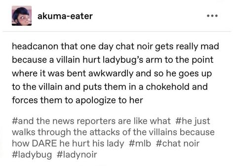 Chat Noir Headcanon, Adrinette Headcanon, Marichat Headcanon, Ladynoir Headcanon, Mlb Headcanons, 2000s Nickelodeon, Adrien Miraculous, Pocket Princesses, Miraculous Ladybug Oc