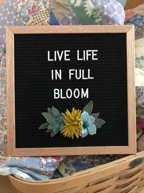 "Fresh & Funky Spring Letter Board Quotes!" #EasterQuotes #LetterBoardIdeas #EasterDecor #FamilyCelebration #SpringInspiration , https://www.theworldaccordingtome.org/?- Word Board Ideas, Spring Letter Board Quotes, Spring Letter Board, Felt Board Sayings, Letterboard Sayings, Message Board Ideas, Letter Board Sayings, Letterboard Signs, Plant Quotes