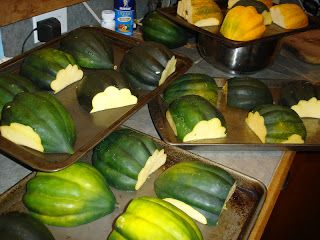 Different Squash Types, Canned Squash, Squash Types, Acorn Squash Recipes, Canning Vegetables, Baked Veggies, Good Roasts, Squash Casserole, Dehydrated Food