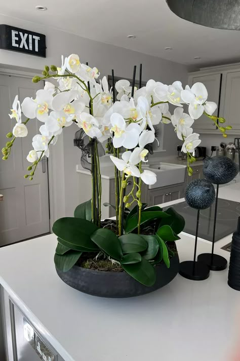 Phalaenopsis Orchid Arrangement, Orchid Center Piece, White Orchid Centerpiece, Orchid Bowl, Diy Orchids, Dining Console, Fake Flowers Decor, Orchid Flower Arrangements, Indoor Plants Styling