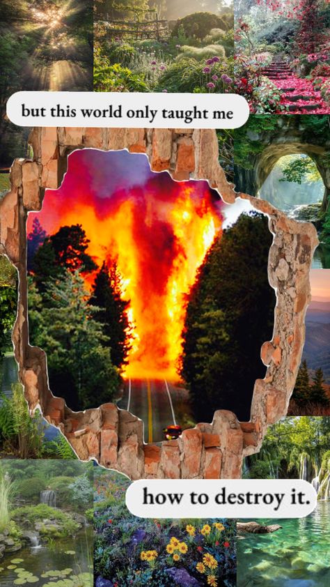 Manmade Vs Nature Art, Fire Collage, Forest Destruction, Destruction Art, Collage Art Vintage, Slay Aesthetic, Forest Collage, Tree Drawings, Forest Wildlife