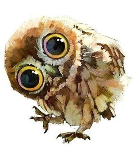 Illustration Xuewawa Animal Illustrations, Owl Painting, Owl Art, Arte Animal, Art And Illustration, Cute Owl, Drawing Tutorials, Big Eyes, 귀여운 동물