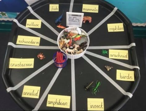 Year 1 Continuous Provision Seasons, Year 2 Continuous Provision Writing, Year 1 Continuous Provision Challenges, Science Continuous Provision Year 1, Autumn Continuous Provision, Ks1 Continuous Provision Classroom, Y1 Continuous Provision, Continuous Provision Ks2, Year 1 Continuous Provision Layout