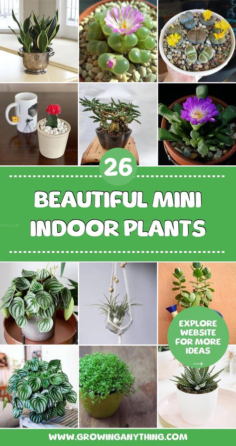 Compact spaces come alive with charming mini indoor plants that fit perfectly anywhere. Find exciting options to enhance your home with these space-saving greens. Plant Inspiration, Nature Indoors, Indoor Plant, Indoor Plants, Space Saving, Decorating Your Home, Small Spaces, Plants