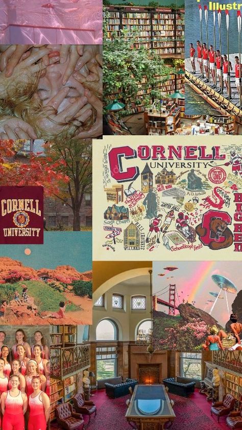 Top University Aesthetic, Cornell University Aesthetic Wallpaper, Cornell University Wallpaper, Cornell University Aesthetic, University Students Life, University Inspiration, Lsat Motivation, University Aesthetic, Law School Life