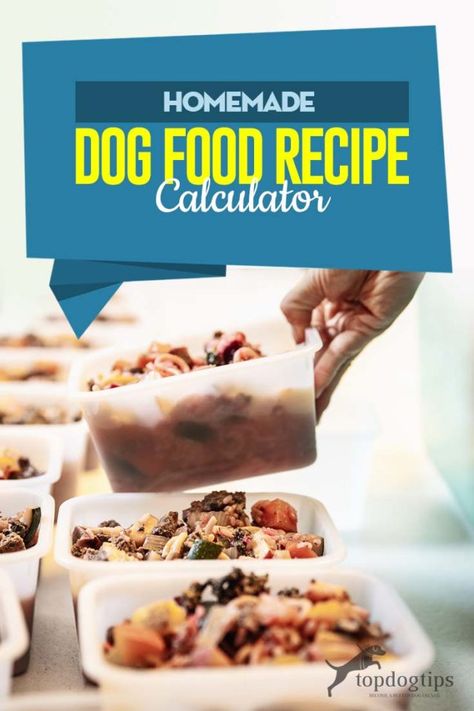 Recipe Calculator, Dog Food Recipe, Food Homemade, Raw Dog Food Recipes, Dog Nutrition, Best Homemade Dog Food, Puppy Food, Dog Treat Recipes, Homemade Dog Food