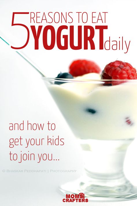 Yogurt is such an amazing healthy food for kids! Read about the many health benefits of yogurt, and how to get your children to eat it! Is Yogurt Good For You, Benefits Of Yogurt For Women, Yogurt Benefits Women, Yoghurt Ideas, Health Benefits Of Yogurt, World Activities For Kids, Benefits Of Yogurt, Activia Yogurt, Yogurt Health Benefits