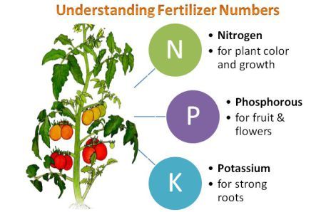 26e53c8 Garden Scooters, Hydroponics Setup, Natural Plant Fertilizer, Veggie Garden Ideas, Npk Fertilizer, Plant Fertilizer, Plant Care Houseplant, Plant Nutrients, Garden Planner