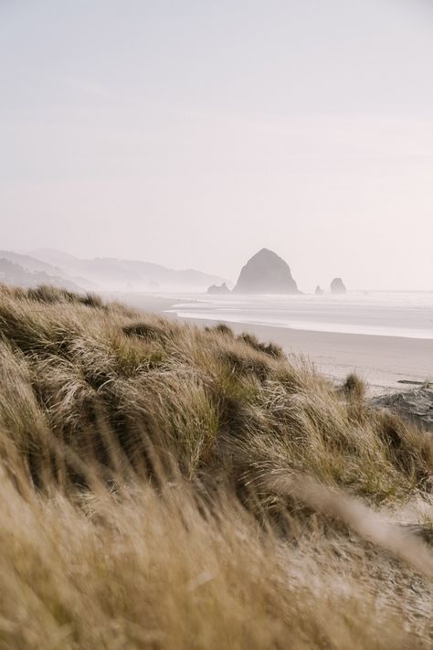 Canon Beach Oregon Photography, Cannon Beach Oregon Photography, Cannon Beach Photography, Oregon Coast Aesthetic, Oregon Beach House, Pnw Coast, Canon Beach Oregon, Pnw Beach, Romantic Beach Picnic