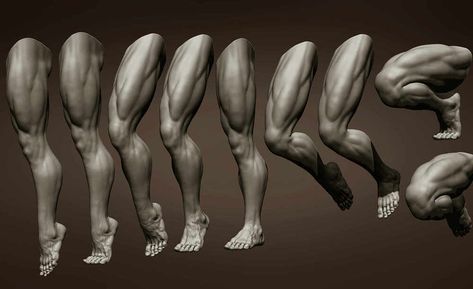 Male leg poses - ZBrushCentral Male Leg Drawing Reference, Leg Muscles Anatomy, Zbrush Anatomy, Leg Reference, 남성 근육, Leg Anatomy, Drawing Legs, Anatomy Practice, Life Drawing Reference