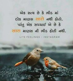 Love Attitude Quotes, Shayari Gujarati, Love Shayari Status, Blog Quotes, Love Attitude Status, Gujarati Status, Whatsapp Status Videos, Your Quotes, I Love You Images