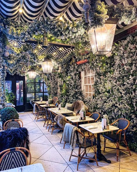 Gulshan on Instagram: “Just realising we still have winter for another two months 🤔 @dallowayterrace” Mediterranean Cafe, Cafe Exterior, Brunch Cafe, Parisian Cafe, French Cafe, Garden Cafe, Cozy Cafe, Food Board, Outdoor Restaurant