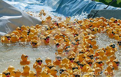 Duck Race Fundraiser, Rubber Duck Games, Rubber Duck Fundraiser, Rubber Duck Race Fundraiser, Duck Race Game, Rubber Duck Race, Family Festival, Health Care Services, Ffa