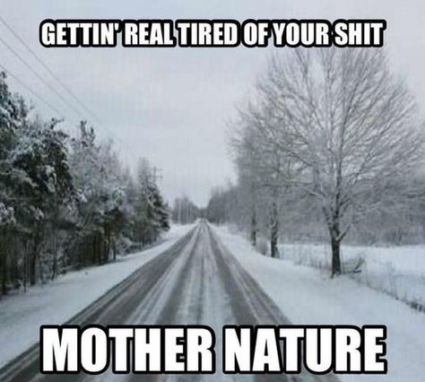 55 Funny Winter Memes - "Gettin' real tired of your s*** mother nature." Winter Humor, Snow Humor, Hate Winter, Winter Quotes, What’s Going On, How I Feel, Bones Funny, The Words, Mother Nature