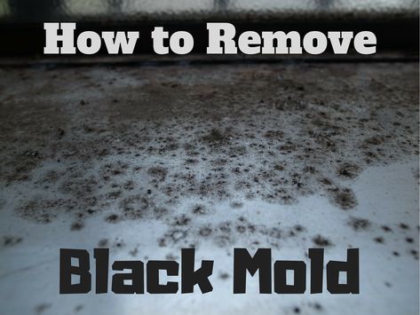 Get Rid Of Black Mold, Kill Black Mold, Black Mold Removal, Clean Black Mold, Remove Black Mold, Mold And Mildew Remover, Black Mold, Mildew Remover, Mold In Bathroom