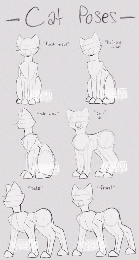 Animal Bases Drawing, Cute Body Base Drawing, Cartoon Cat Drawing, Cat Drawing Tutorial, Cats Art Drawing, Cat Poses, Cat Anatomy, Cat Coloring Book, Warrior Cat Drawings