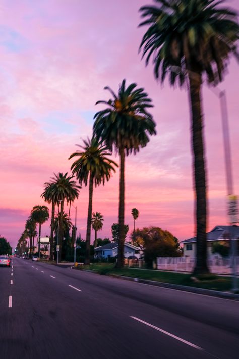 #losangeles #palmtrees #california #pink #sunset #photography #sky #street Pink Street Aesthetic, Pink Los Angeles Aesthetic, Pink California Aesthetic, Los Angeles Pink Aesthetic, Pink Los Angeles, Pink Wall Los Angeles, Pink Hour, Pretty Skys, Palm Trees Sunset Wallpaper