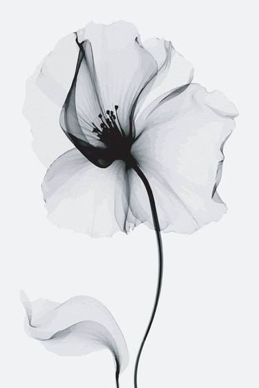 Ramy Salah Hefny | Saatchi Art X Ray Tattoo Flower, X Ray Flower Tattoo Lotus, X Ray Flowers Tattoo, Xray Flower Tattoo, X Ray Flower, Peony Xray Flower, Xray Flower, Waist Tattoos, Deer Art