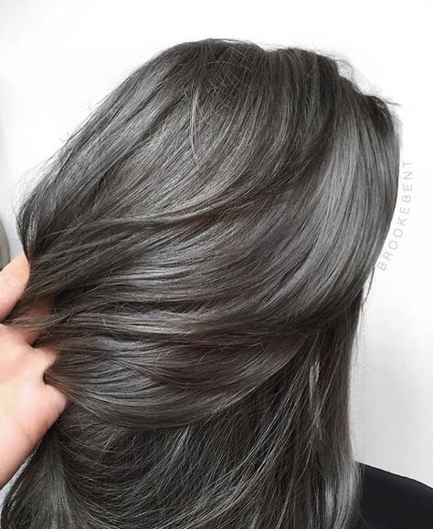 Deep Steel Color @brookebent Dark Grey Hair Charcoal, Steel Gray Hair, Pelo Color Ceniza, Lavender Grey Hair, Ash Grey Hair, Professional Hair Dye, Blue Grey Hair, Dark Grey Hair, Grey Hair Dye