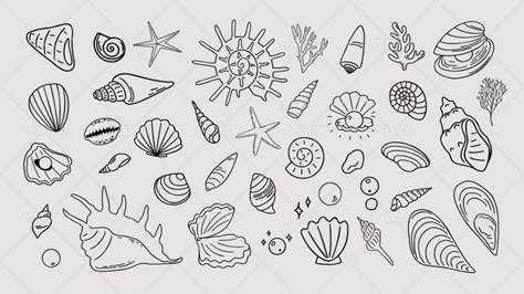 Seaside Doodles, Hawaii Doodles, Beachy Doodles, Seashell Drawings, Europe Tattoos, July Doodles, Seashell Tattoo, Seashell Drawing, Journal Sketches