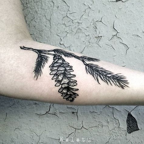 Long Leaf Pine Tattoo, Pine Forest Tattoo Design, Pine Tree Shoulder Tattoo, Blue Spruce Tattoo, Spruce Tattoo, Forest Theme Tattoo, Pine Cone Branch Tattoo, White Pine Tattoo, Pine Branch Tattoo