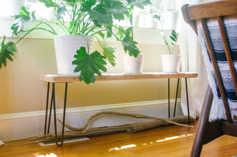 Hairpin Leg Bench DIY Hairpin Leg Bench, Plant Bench, Plant Stand Diy, Lilac Bedroom, Living Room And Kitchen Design, Decorating Room, Pin Legs, Indoor Window, Bench Diy