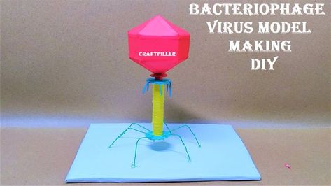 Bacteriophage virus model making | diy |  biology model making | craftpiller Biology Model, Biology Class 12, Science Models, Biology Projects, Youth Work, Nursing Mnemonics, Science Projects, Model Making, Biology