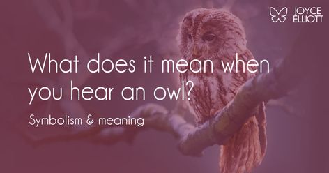 What does it mean when you hear an owl? Hearing an owl is a wake-up sign to set up your protective energy. Sometimes hearing an owl is... Hearing An Owl Meaning Spiritual, Owl Meaning Spiritual, Owl Meaning, Owl Sounds, Owl Symbolism, Sioux Tribe, Protective Energy, Spiritual Animal, Wood Owls