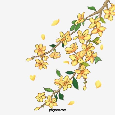 Spring Cherry Blossoms, Yellow Png, Gold Circle Frames, Yellow Spring Flowers, Cherry Blossoms Illustration, Flower Png Images, Background Flower, Frame Border Design, Cherry Blossom Branch