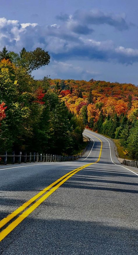 Algonquin Park | Hwy 60 September 26th, 2023 Algonquin Park, Summer Jobs, Park Ranger, Beautiful Scenery, Ontario Canada, Perfect Summer, Montreal, Ontario, Beautiful Places