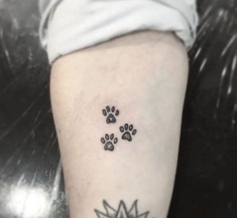 The 80+ Cutest Paw Print Tattoos Ever - The Paws Three Paws Tattoo, Tattoos Paw Print, Siamese Cat Tattoos, Paw Print Tattoos, Cat Paw Print Tattoo, Unique Tattoos Black Women, Cute Cat Tattoo, Dog Memorial Tattoos, Pawprint Tattoo