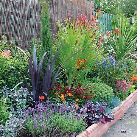 A mediterranean styled border Boarder Plants, Small Garden Borders, Garden Border Plants, Contemporary Garden Design, Evergreen Garden, Border Plants, Evergreen Plants, Contemporary Garden, Mediterranean Garden