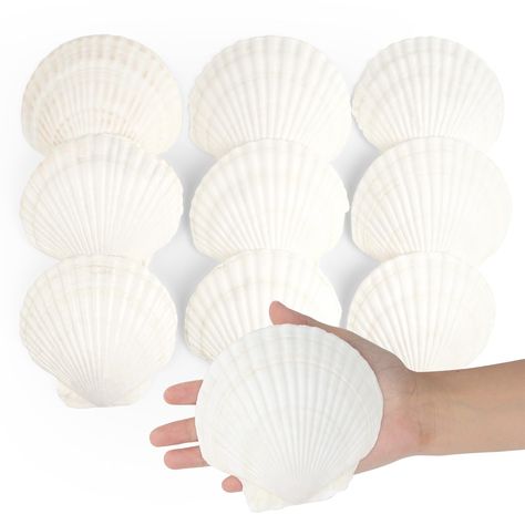 PRICES MAY VARY. Packaging Includes: You will receive 10 pcs natural scallops shells, the size of the shell is between 4 inches and 5 inches. Our shells are natural, so the size and shape of each shell will be different. The size of the scallop shell is very suitable for baking and cooking food. Natural Scallops Shells: The scallops shells are carefully selected from nature. All shells have been cleaned and have a bright white appearance. The shell does not need any embellishment, and its natura Beach Wedding Table Centerpieces, Beach Wedding Party Favors, Shell Wreaths, Beach Wedding Tables, Shell Sculpture, Shell Wreath, Beach Party Decorations, Shell Candles, Shell Decorations