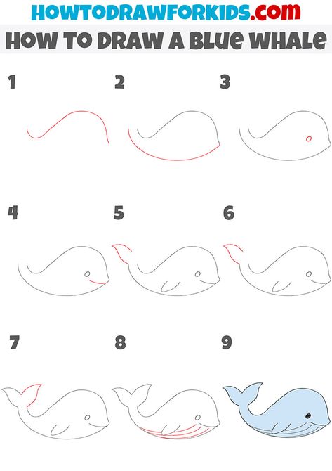 how to draw a blue whale step by step Blue Whale Drawing Simple, How To Draw Whale, Whale Drawing Step By Step, Human Legs Drawing, How To Draw A Whale, Easy Whale Drawing, Whale Drawing Simple, Drawing A Whale, Insect Doodles