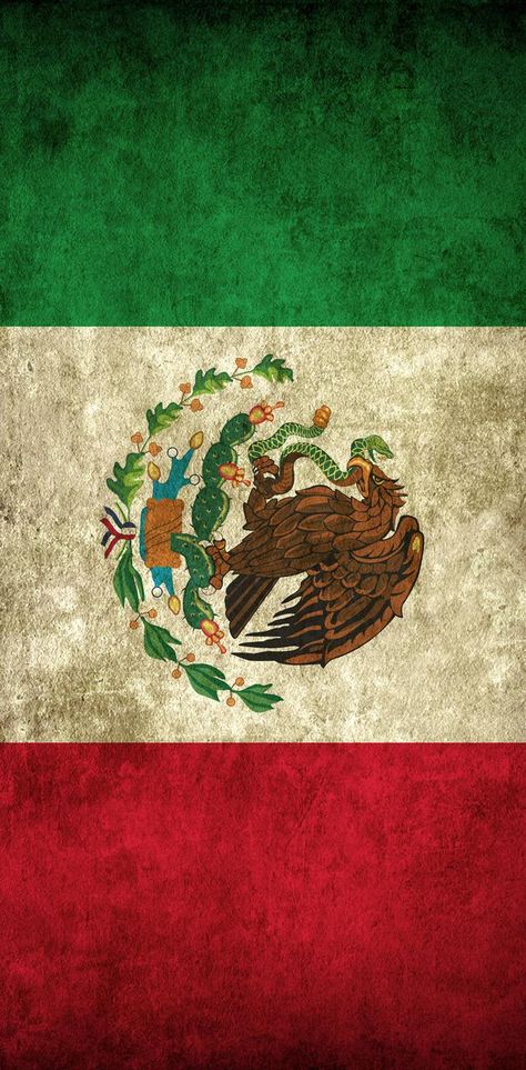 Mexican American Culture, Mexico Wallpaper, Mexican Culture Art, Mexican Heritage, Mexican Flag, Mexico Culture, Mexican Flags, Mexico Flag, Mexico Art