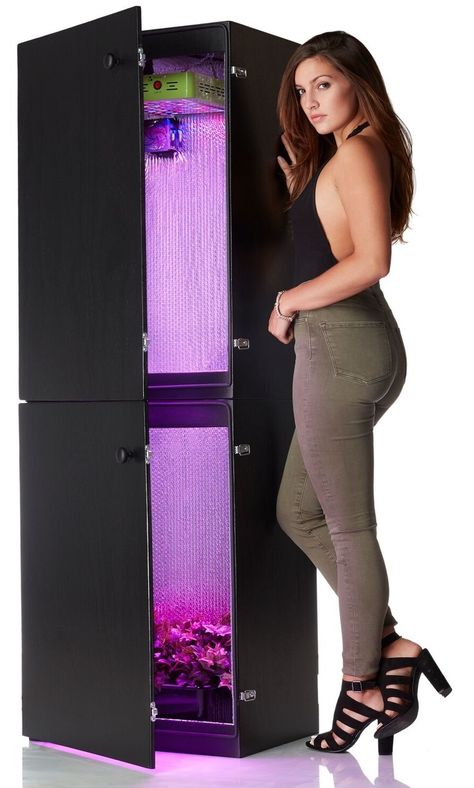 The money tree is a 9 plant hydroponics grow box available in the standard 4 foot model or the upgradable 5 foot model. Grow indoors all year long with the money tree. Hydroponic Grow Box, Vertical Hydroponics, Grow Cabinet, Grow Boxes, Grow System, Grow Room, Grow Tent, Hydroponics System, Growing Seeds