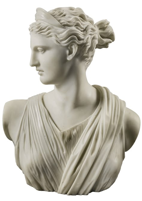 Apollo Belvedere, Anatomy Sculpture, Roman Statue, Greek Statues, Antique Statue, Roman Goddess, Greek Sculpture, Roman Art, Marble Statues