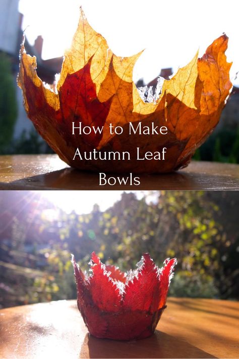 A simple leaf bowl tutorial. This autumn craft is a lovely way to preserve all those pretty leaves and give you some gorgeous autumn decor for your home. Fall Leaf Template, Pretty Leaves, Autumn Leaves Craft, Autumn Craft, Leaf Projects, Autumn Leaves Art, Diy Leaves, Leaf Bowl, Ard Buffet