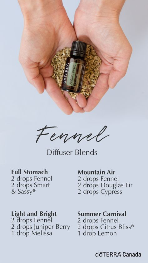 Fennel Diffuser Blends, Canada Facts, Fennel Oil, Doterra Oils Recipes, Eo Blends, Fennel Essential Oil, Esential Oils, Doterra Diffuser, Doterra Oil