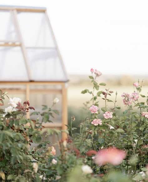 Ivy House, Farmhouse Garden, Garden Greenhouse, Pink Garden, Spring Aesthetic, Green Life, Farm Gardens, Flower Farm, English Garden