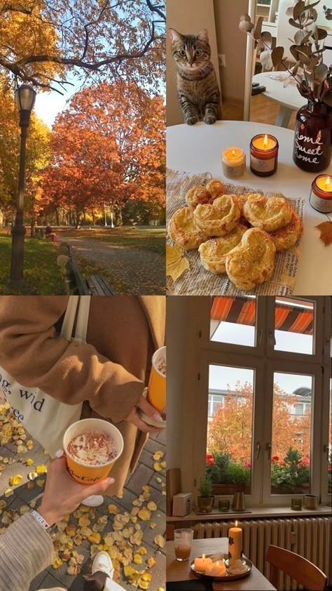 Fall Vision Board, Autumn Moodboard, Autumn Mood Board, Fall Moodboard, Fall Aesthetics, Leaves Falling, Fall Mood Board, Everything Fall, Autumn Magic