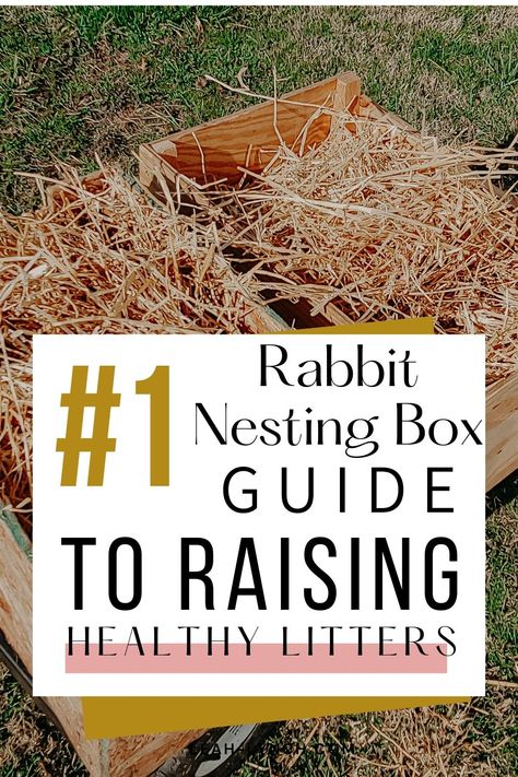 Bunny Nesting Box Diy, Diy Rabbit Nest Box Ideas, Nesting Boxes For Rabbits, Rabbit Nesting Box Diy, Rabbit Nesting Box, Pregnant Rabbit, Nesting Boxes Diy, Rabbit Farming, Rabbit Nest