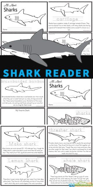 Fun Fractions Activities, Homeschool Science Lessons, Shark Printables, Shark Activities, Cycle For Kids, Shark Craft, Shark Facts, All About Sharks, Ocean Unit