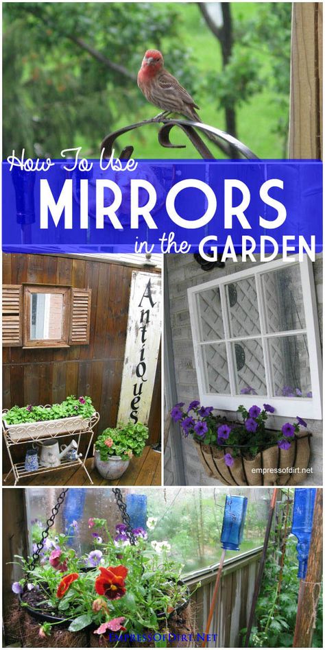 How to use mirrors in the garden for safe, creative, wonderful effects Mirrors In The Garden, Outdoor Mirrors, Tiny Backyard, Gambling Art, Garden Formal, Borders Garden, Garden Mirror, Entrance Garden, Embroidery Garden