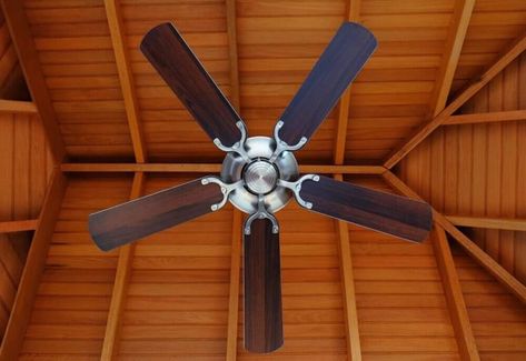 10 Different Types of Ceiling Fans to Consider Brass Lights, Moving Into A New House, School House Lighting, Roof Ceiling, 52 Inch Ceiling Fan, Ceiling Fans With Lights, Industrial Ceiling Fan, Star Ceiling, Industrial Fan