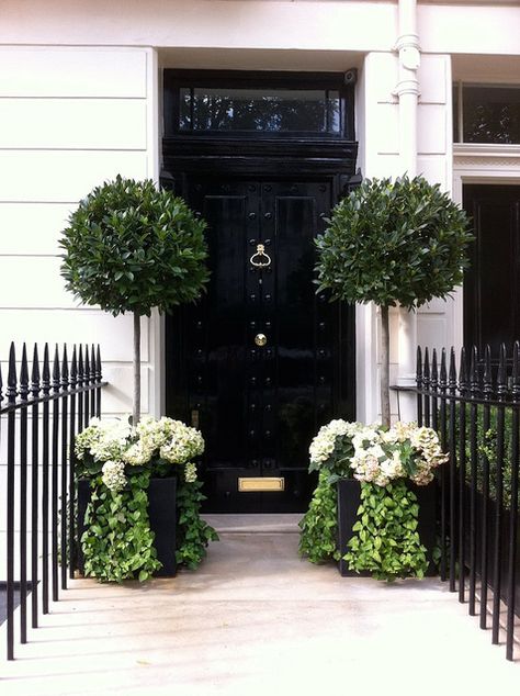 Belgravia - I love this area of London Perfect topiaries in planter boxes Front Door Plants, Front Door Planters, Door Planter, Beautiful Front Doors, Black Door, Front Porch Decorating, Flowering Shrubs, White Gardens, House Entrance