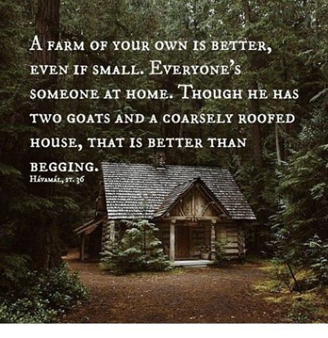 Goats And Chickens, Farm Life Quotes, Done Trying Quotes, Self Sufficiency, A Simple Life, Vision Board Goals, Sounds Good To Me, Ranch Life, Cabin In The Woods