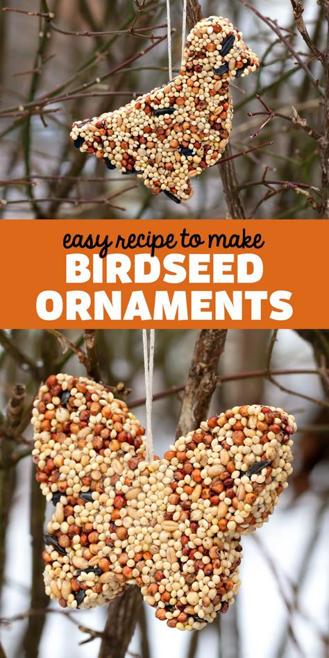 Diy Birdseed Ornaments, Bird Seed Ornaments Recipe, Birdseed Ornaments, Bird Seed Ornaments, Bird Feeder Craft, Bird Seed Feeders, Homemade Bird Feeders, Bird Treats, Christmas Gift Basket Ideas